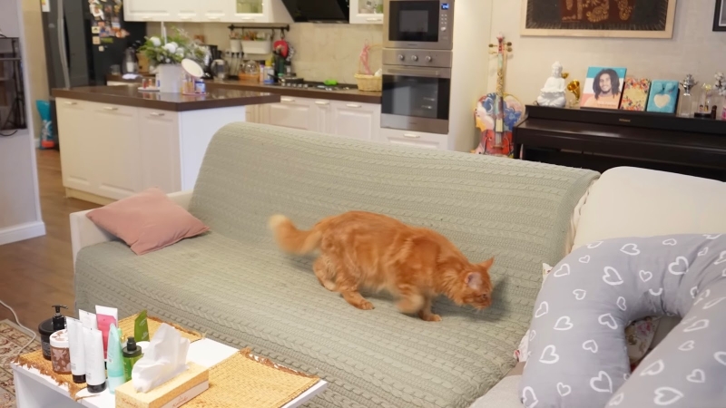 «Девчачий прованс» без натиска роскоши: где живет певица Бьянка