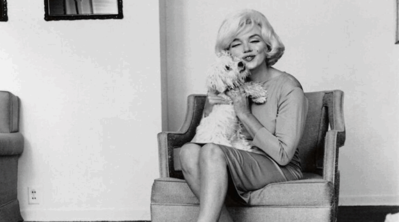 Дом Мэрилин Монро в Брентвуде на западе Лос-Анджелеса: единственный настоящий особняк голливудской легенды