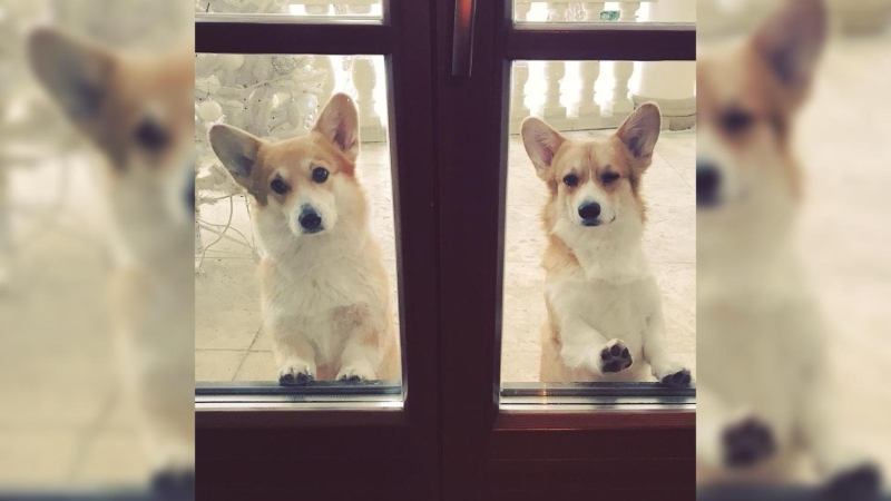 Дом тишины в Подмосковье за 350 миллионов рублей: где и как жила Инна Чурикова