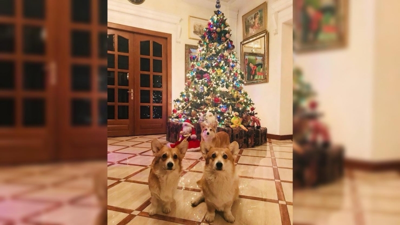 Дом тишины в Подмосковье за 350 миллионов рублей: где и как жила Инна Чурикова