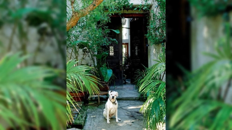 Дом супермодели Татьяны Патиц в Малибу: философия тишины, природы и осознанной роскоши