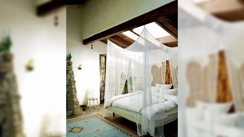 Дом супермодели Татьяны Патиц в Малибу: философия тишины, природы и осознанной роскоши