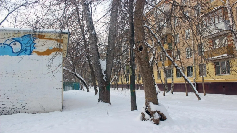 Недвижимость Василия Шукшина: дома в Сростках и квартиры в Москве, которые формировали характер писателя