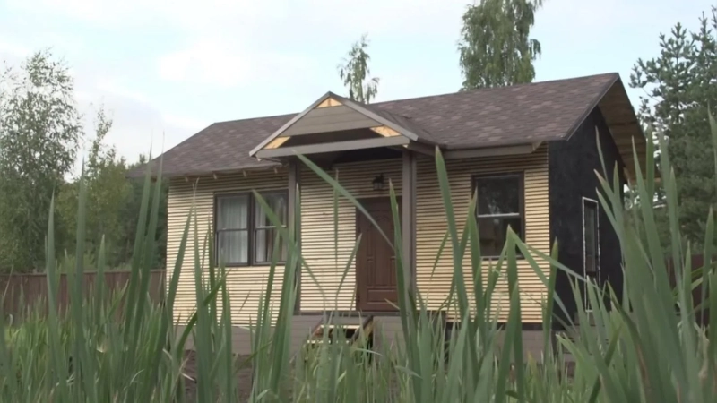 Почему Ефим Шифрин променял городскую роскошь на тихую дачу: загородный дом артиста без глянца 