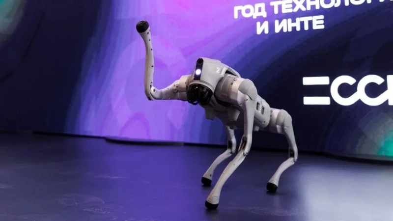 ССК-2026: ставка на цифровую трансформацию и социальную ответственность