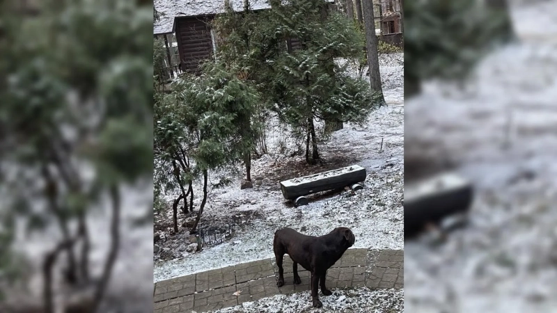 Живут как в сказке: загородный замок Натальи Бестемьяновой и Игоря Бобрина, где нет роскоши, но есть душа