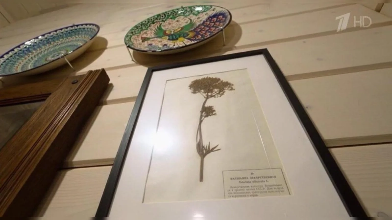 Дарья Мороз показала свой дом в псковской Глуши: интерьер, который влюбил зрителей с первого кадра