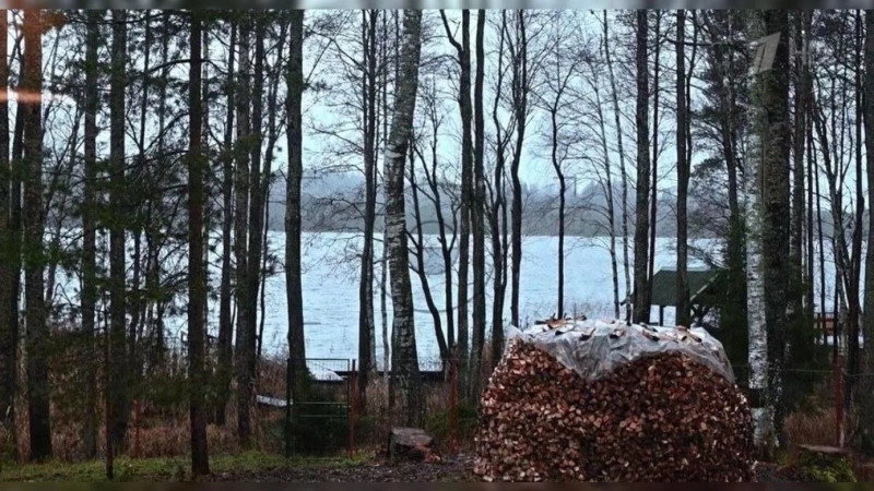 Дарья Мороз показала свой дом в псковской Глуши: интерьер, который влюбил зрителей с первого кадра