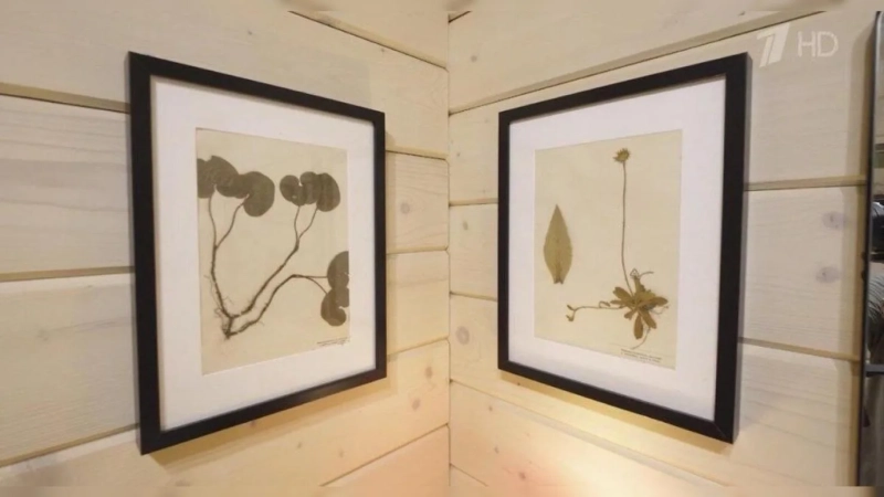 Дарья Мороз показала свой дом в псковской Глуши: интерьер, который влюбил зрителей с первого кадра