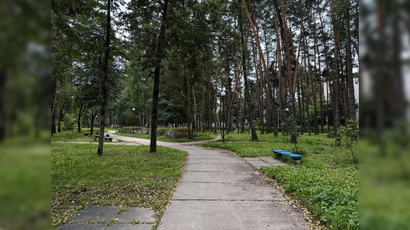 Город, который в СССР спрятали в лесу: почему Протвино в Подмосковье построили так, чтобы его почти не было видно