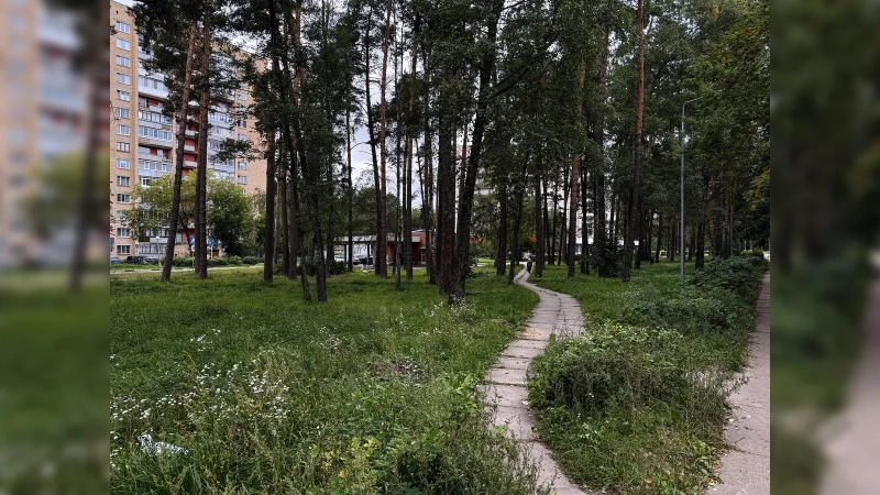 Город, который в СССР спрятали в лесу: почему Протвино в Подмосковье построили так, чтобы его почти не было видно