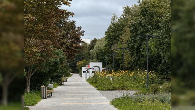 Город, который в СССР спрятали в лесу: почему Протвино в Подмосковье построили так, чтобы его почти не было видно
