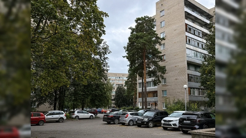 Город, который в СССР спрятали в лесу: почему Протвино в Подмосковье построили так, чтобы его почти не было видно