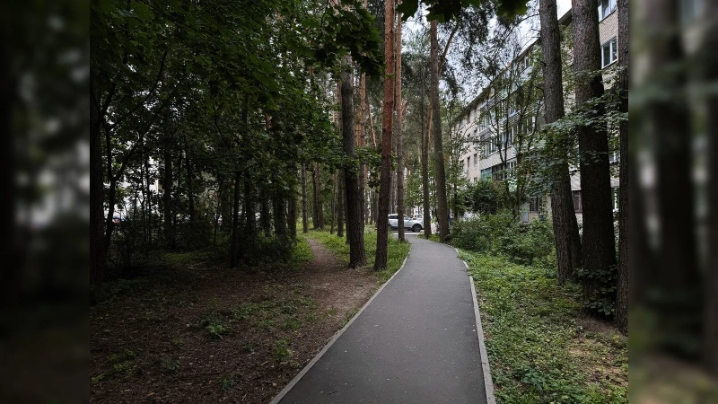 Город, который в СССР спрятали в лесу: почему Протвино в Подмосковье построили так, чтобы его почти не было видно