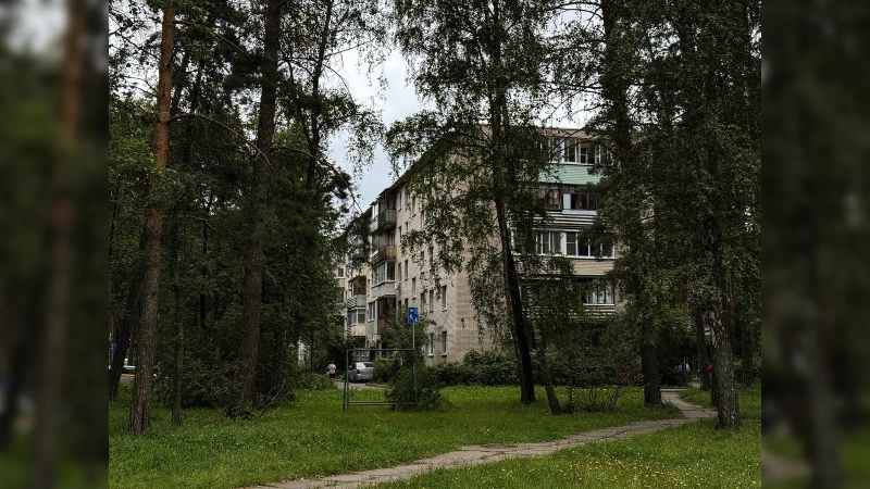 Город, который в СССР спрятали в лесу: почему Протвино в Подмосковье построили так, чтобы его почти не было видно