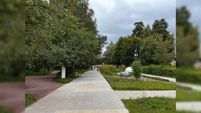 Город, который в СССР спрятали в лесу: почему Протвино в Подмосковье построили так, чтобы его почти не было видно