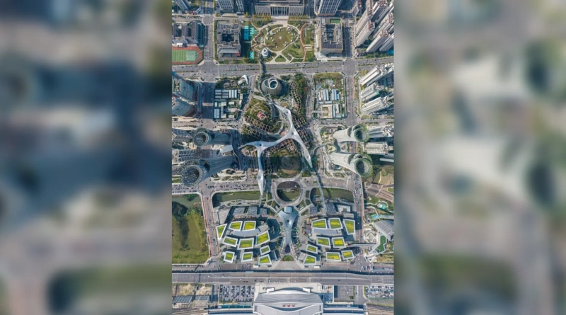 В Китае показали район, вдохновленный бамбуком