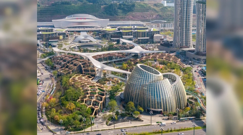 В Китае показали район, вдохновленный бамбуком