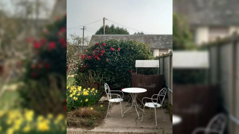 Как выглядят дачи пенсионеров во Франции, и почему их участки смотрятся дороже элитных коттеджей